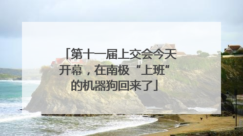 第十一届上交会今天开幕，在南极“上班”的机器狗回来了