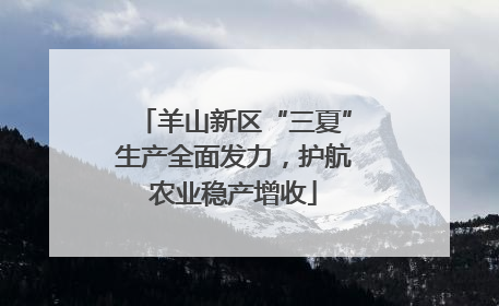 羊山新区“三夏”生产全面发力，护航农业稳产增收