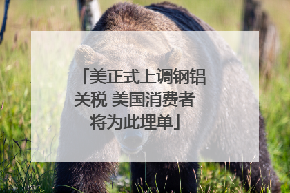 美正式上调钢铝关税 美国消费者将为此埋单
