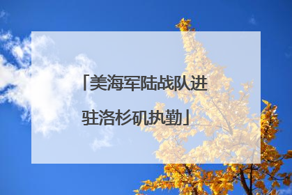 美海军陆战队进驻洛杉矶执勤