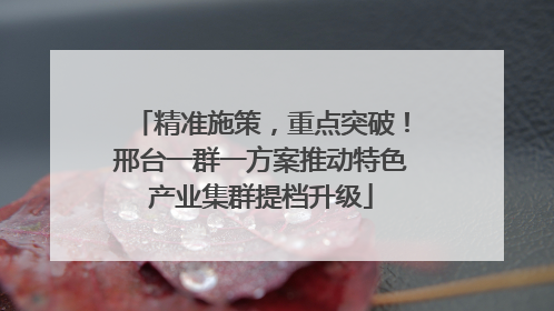 精准施策，重点突破！邢台一群一方案推动特色产业集群提档升级