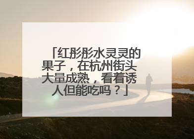 红彤彤水灵灵的果子，在杭州街头大量成熟，看着诱人但能吃吗？