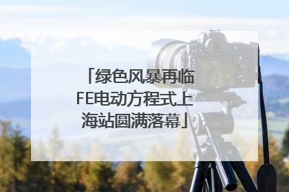 绿色风暴再临 FE电动方程式上海站圆满落幕