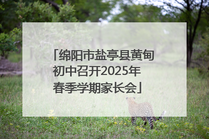 绵阳市盐亭县黄甸初中召开2025年春季学期家长会
