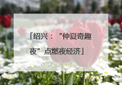 绍兴：“仲夏奇趣夜”点燃夜经济