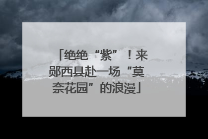 绝绝“紫”！来郧西县赴一场“莫奈花园”的浪漫
