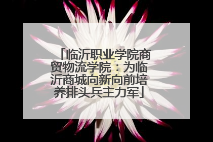 临沂职业学院商贸物流学院：为临沂商城向新向前培养排头兵主力军