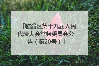 临淄区第十九届人民代表大会常务委员会公告（第20号）