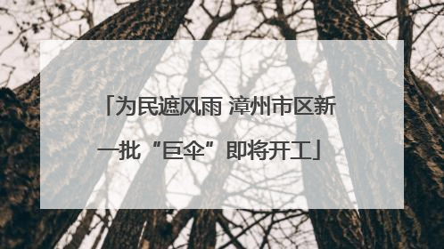 为民遮风雨 漳州市区新一批“巨伞”即将开工