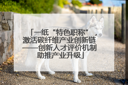 一纸“特色职称”，激活碳纤维产业创新链——创新人才评价机制 助推产业升级