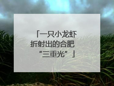 一只小龙虾折射出的合肥“三重光”