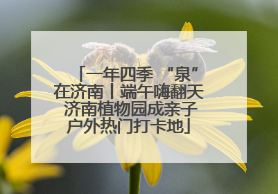 一年四季 “泉”在济南丨端午嗨翻天 济南植物园成亲子户外热门打卡地