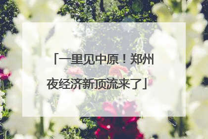 一里见中原！郑州夜经济新顶流来了