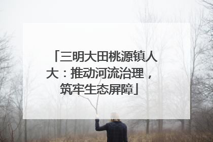三明大田桃源镇人大：推动河流治理，筑牢生态屏障