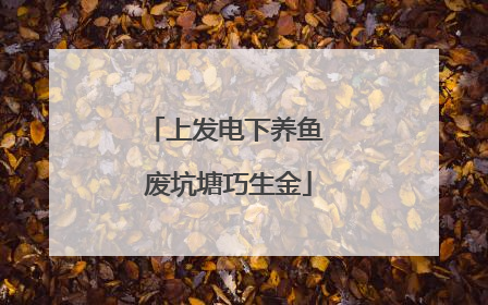 上发电下养鱼 废坑塘巧生金