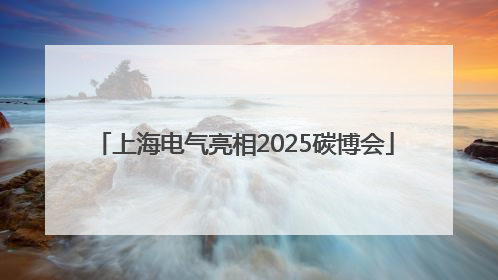 上海电气亮相2025碳博会