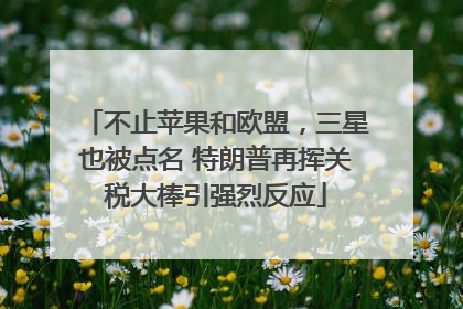不止苹果和欧盟，三星也被点名 特朗普再挥关税大棒引强烈反应