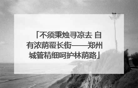 不须秉烛寻凉去 自有浓荫覆长街——郑州城管精细呵护林荫路