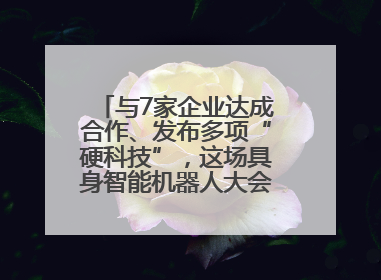 与7家企业达成合作、发布多项“硬科技”，这场具身智能机器人大会蓉城启幕