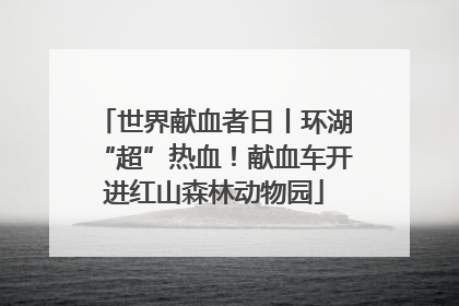 世界献血者日丨环湖“超”热血！献血车开进红山森林动物园