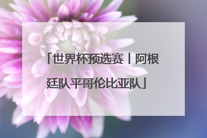 世界杯预选赛丨阿根廷队平哥伦比亚队