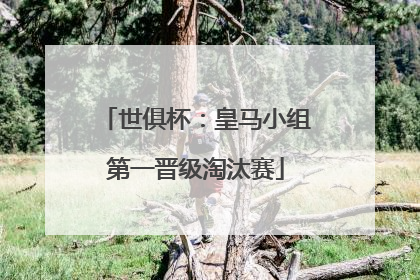 世俱杯：皇马小组第一晋级淘汰赛