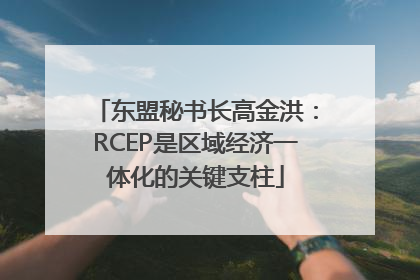 东盟秘书长高金洪：RCEP是区域经济一体化的关键支柱