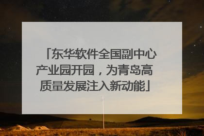 东华软件全国副中心产业园开园，为青岛高质量发展注入新动能