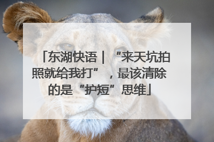东湖快语｜“来天坑拍照就给我打”，最该清除的是“护短”思维