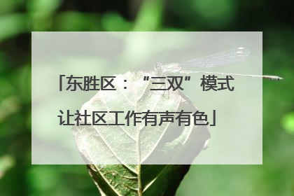 东胜区：“三双”模式让社区工作有声有色