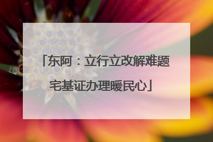 东阿：立行立改解难题 宅基证办理暖民心