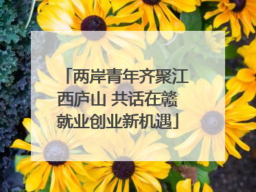 两岸青年齐聚江西庐山 共话在赣就业创业新机遇
