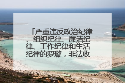 严重违反政治纪律、组织纪律、廉洁纪律、工作纪律和生活纪律的罗璇，非法收受他人巨额财物