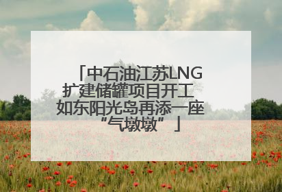 中石油江苏LNG扩建储罐项目开工 如东阳光岛再添一座“气墩墩”