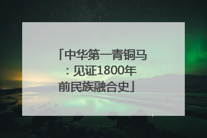 中华第一青铜马：见证1800年前民族融合史