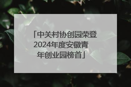 中关村协创园荣登2024年度安徽青年创业园榜首