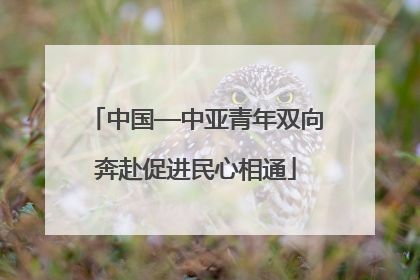 中国—中亚青年双向奔赴促进民心相通