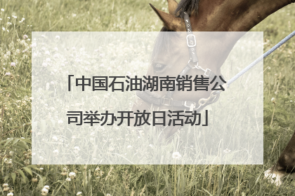 中国石油湖南销售公司举办开放日活动