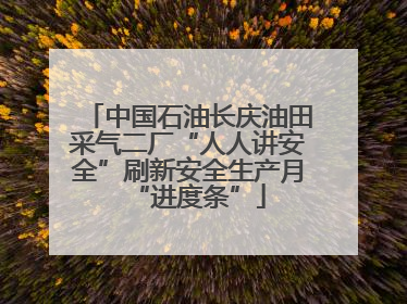 中国石油长庆油田采气二厂“人人讲安全”刷新安全生产月“进度条”