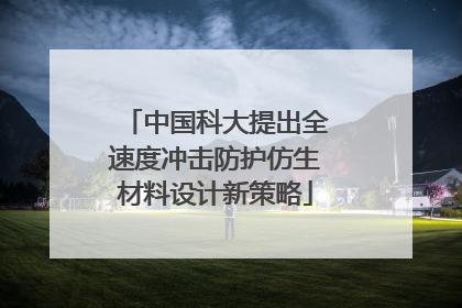 中国科大提出全速度冲击防护仿生材料设计新策略