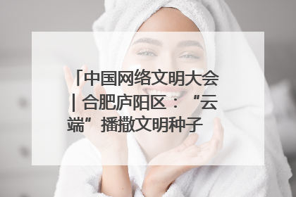 中国网络文明大会｜合肥庐阳区：“云端”播撒文明种子 共建清朗网络空间