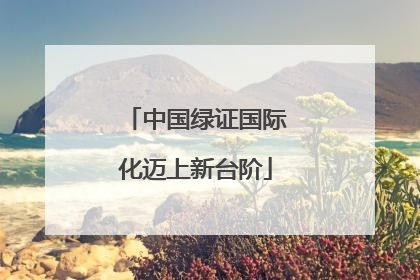 中国绿证国际化迈上新台阶