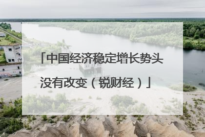 中国经济稳定增长势头没有改变（锐财经）