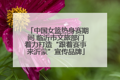 中国女篮热身赛期间 临沂市文旅部门着力打造“跟着赛事来沂蒙”宣传品牌