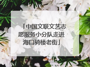 中国文联文艺志愿服务小分队走进海口骑楼老街