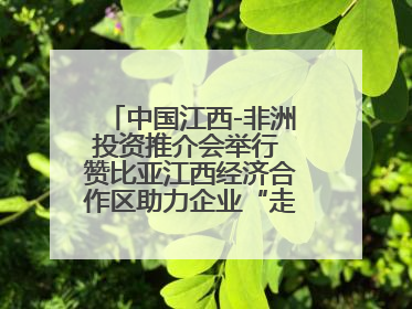 中国江西-非洲投资推介会举行 赞比亚江西经济合作区助力企业“走出去”