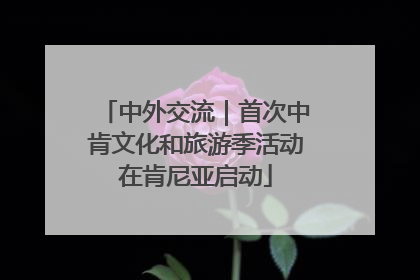 中外交流｜首次中肯文化和旅游季活动在肯尼亚启动