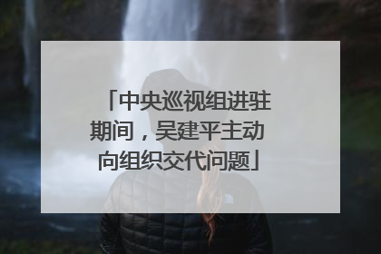 中央巡视组进驻期间，吴建平主动向组织交代问题
