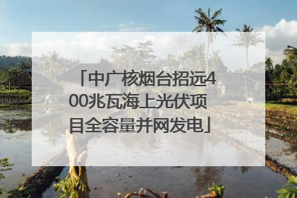 中广核烟台招远400兆瓦海上光伏项目全容量并网发电