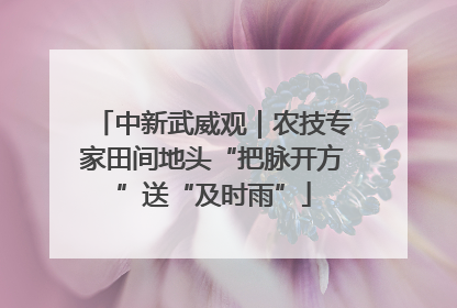 中新武威观｜农技专家田间地头“把脉开方”送“及时雨”